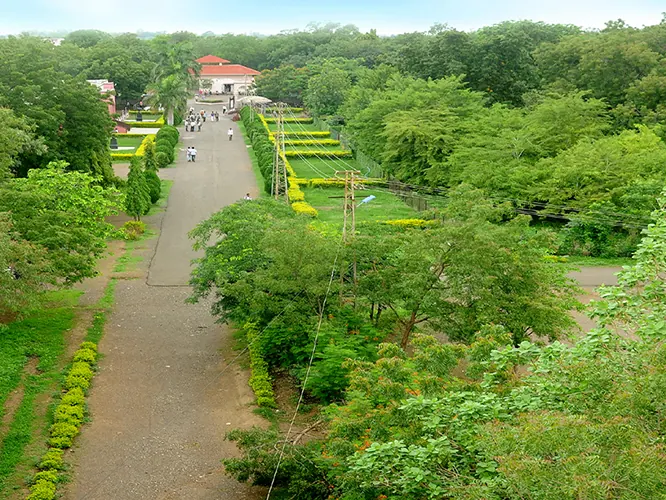 A tree-lined avenue running through the green Shahada campus, seen from above