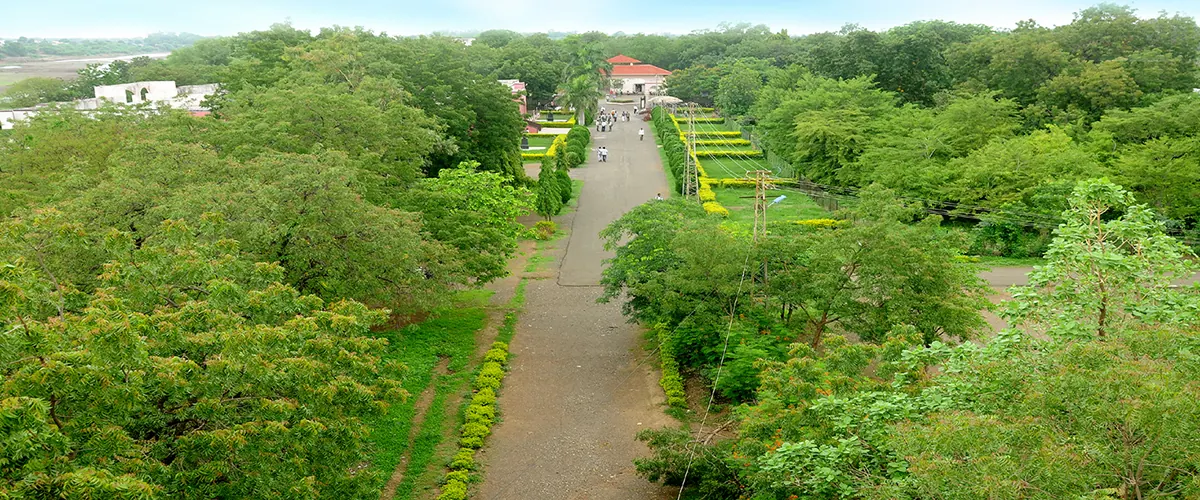 A long tree-lined avenue running through the green campus, seen from above